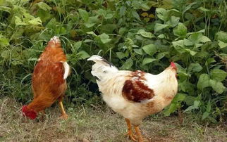 秦淮河發源地探秘與周邊小眾景點自駕攻略